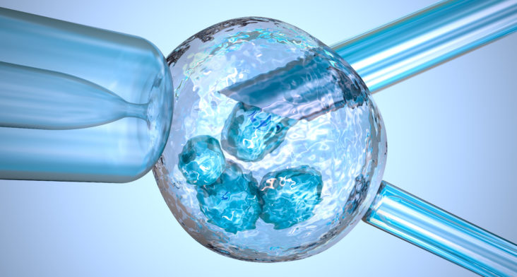 Resultado de imagen para fertilizacion asistida
