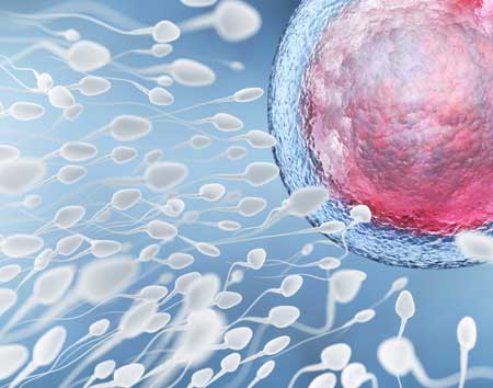 Trtamientos con donación de óvulos y espermatozoides